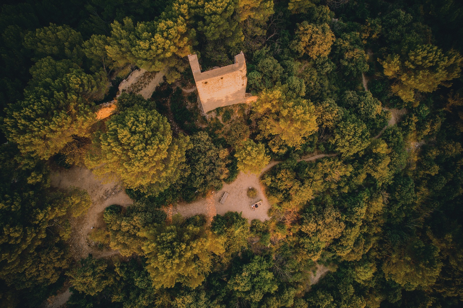 Ruins in a forest seen from above, France